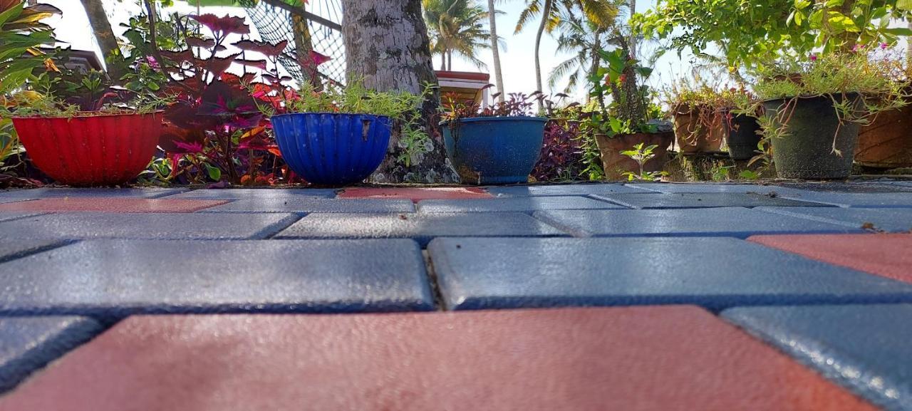 Marari Anna Beach Villa Mararikulam Exterior photo